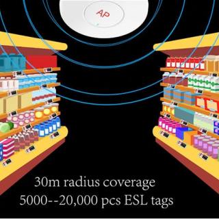 Wprowadzenie rozwiązania ESL