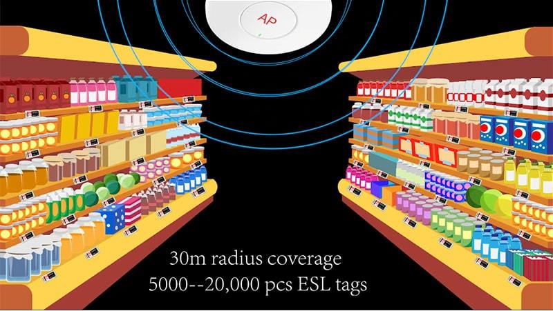 Wprowadzenie rozwiązania ESL